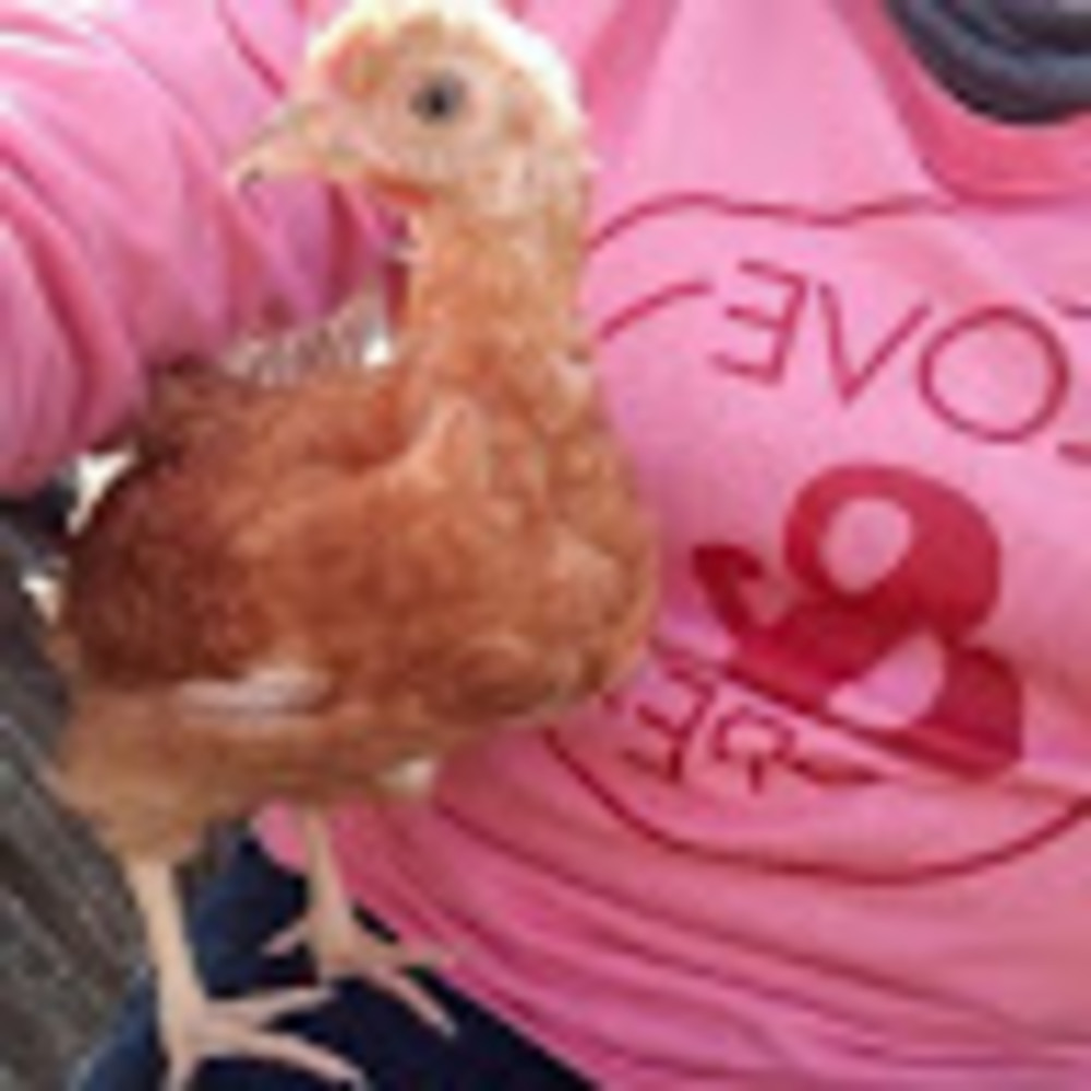 Meet your Posher, Esthela